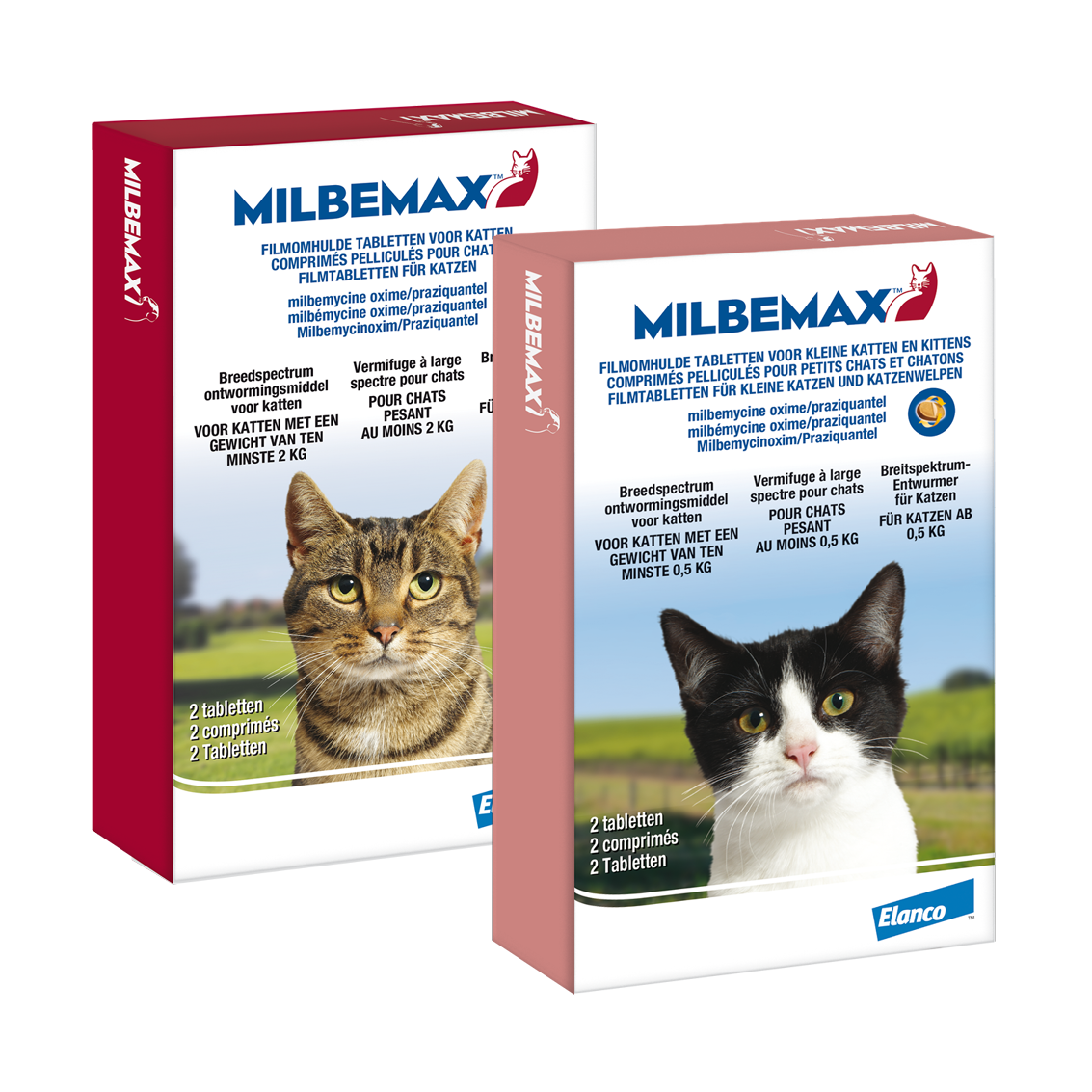 Milbemax voor katten werkt tegen darmwormen